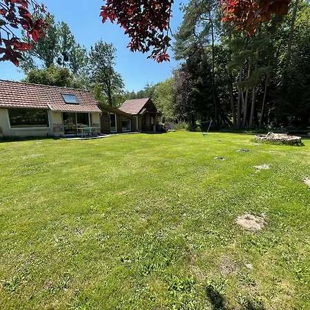 Ad Libitum 3 Les Ageux