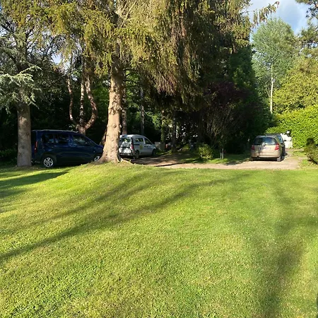 Ad Libitum 3 홈스테이 *